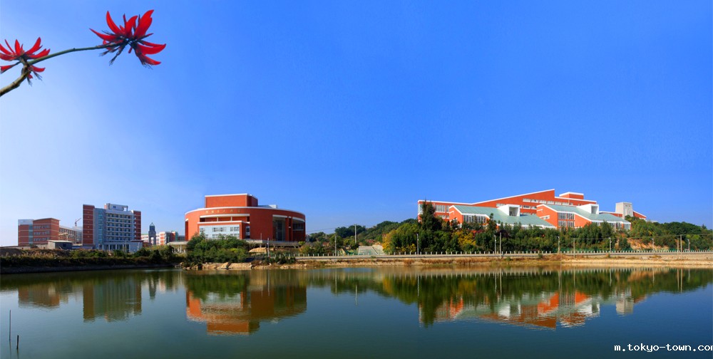 taptap点点体育登录